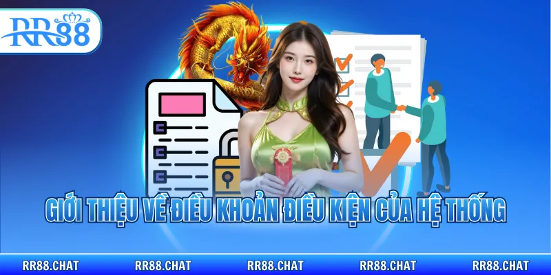 Giới thiệu về điều khoản điều kiện của hệ thống