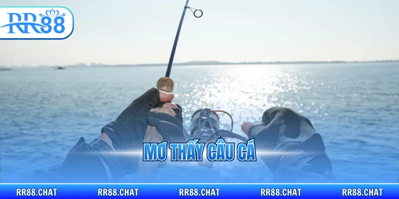 Mơ thấy câu cá