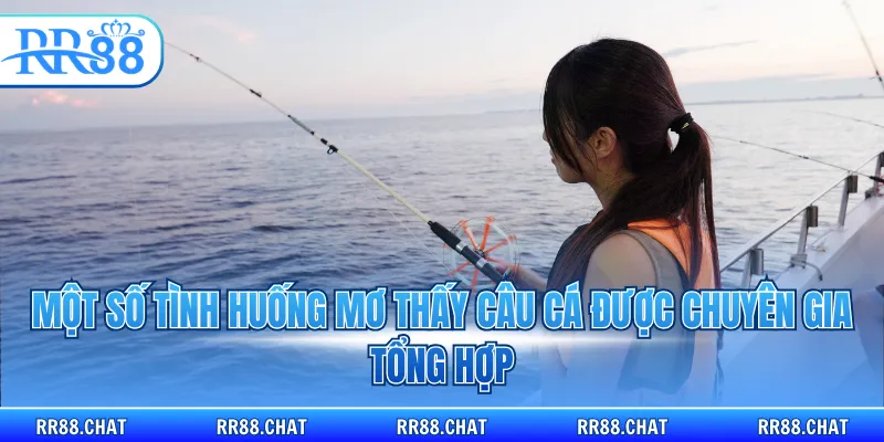 Một số tình huống mơ thấy câu cá được chuyên gia tổng hợp